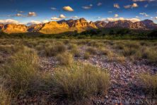 painted desert.jpg